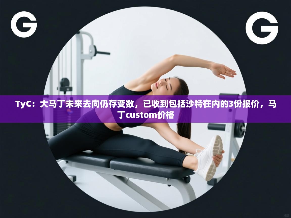 爱游戏娱乐app下载-TyC:大马丁未来去向仍存变数,已收到包括沙特在内的3份报价,马丁custom价格 第3张