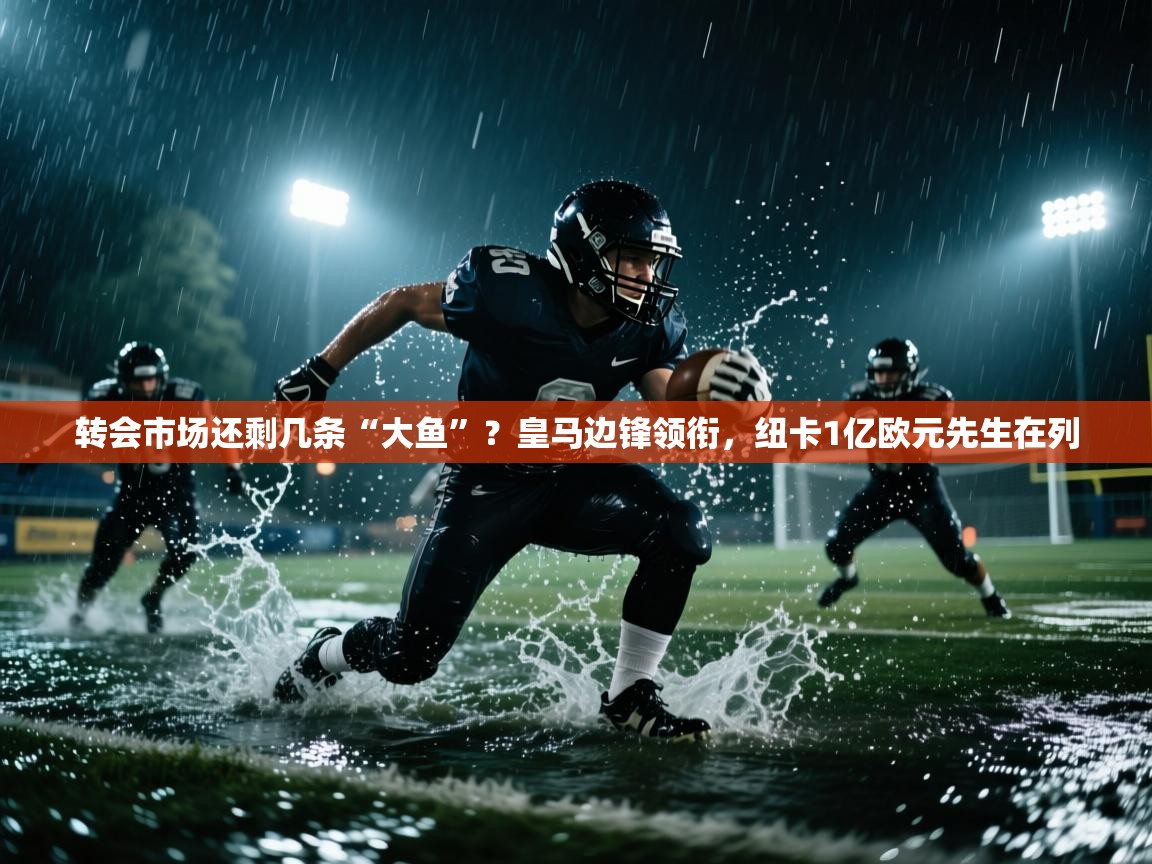 爱游戏体育全站入口-转会市场还剩几条“大鱼”?皇马边锋领衔,纽卡1亿欧元先生在列 第1张