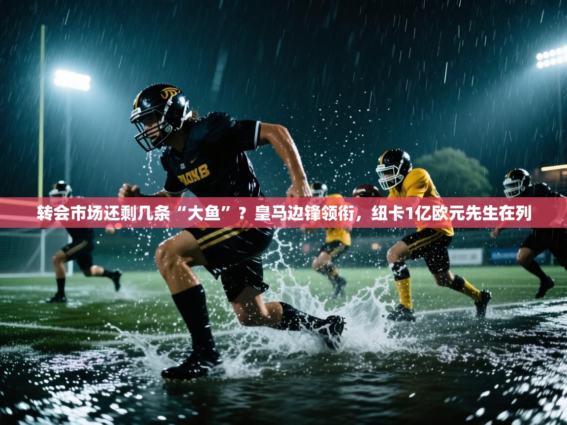 爱游戏体育全站入口-转会市场还剩几条“大鱼”?皇马边锋领衔,纽卡1亿欧元先生在列 第3张