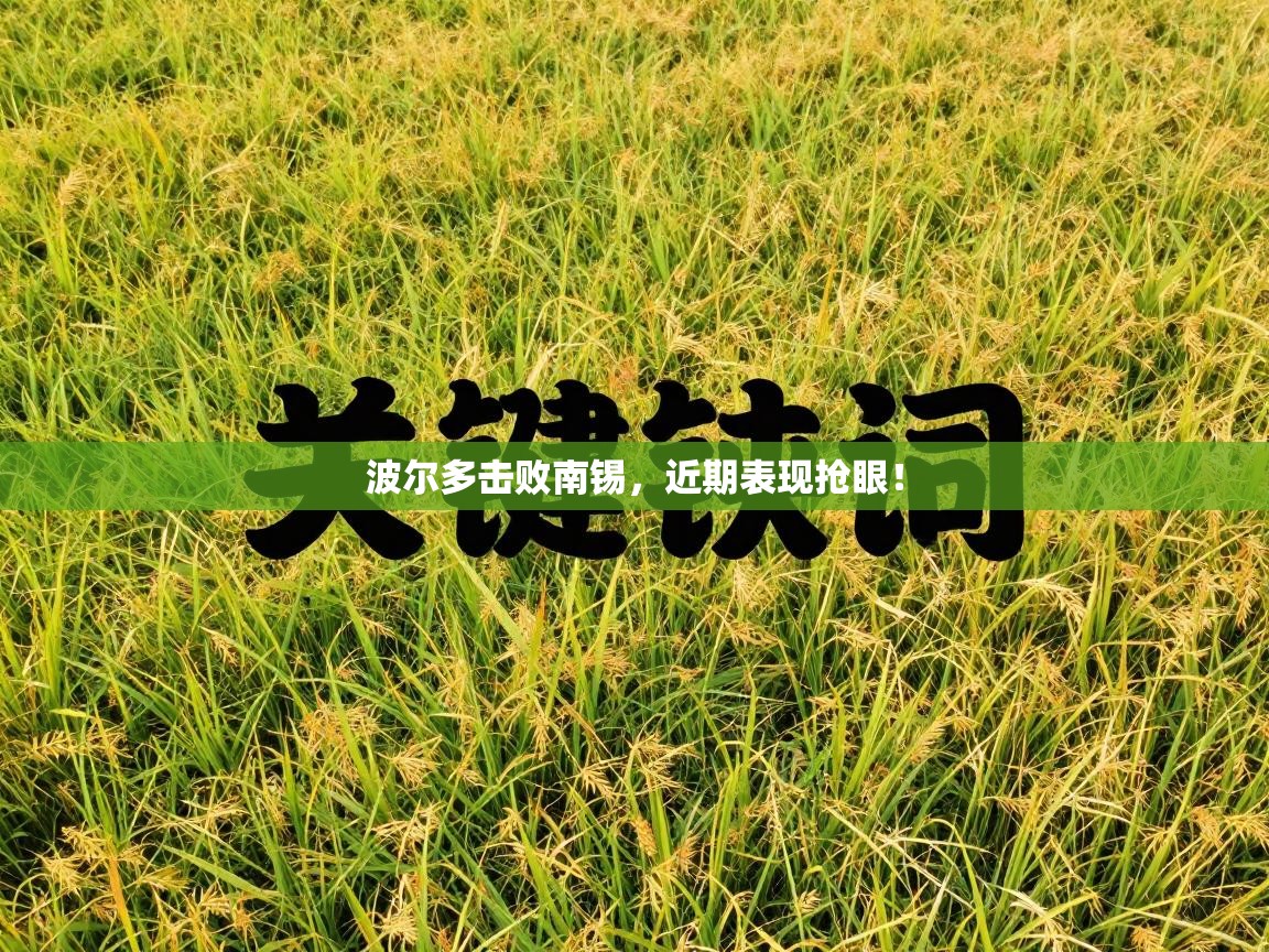 爱游戏在线官网-波尔多击败南锡,近期表现抢眼! 第3张