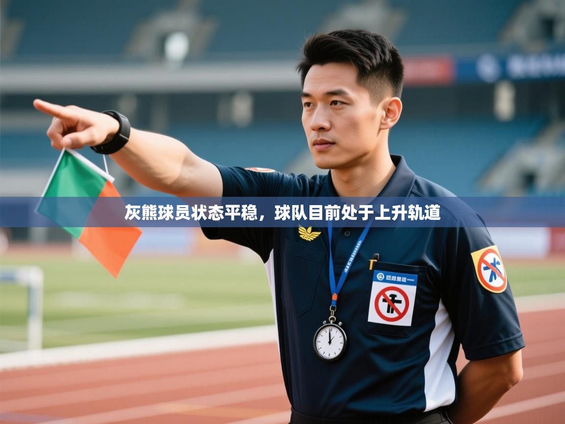 爱游戏直播-灰熊球员状态平稳，球队目前处于上升轨道  第2张