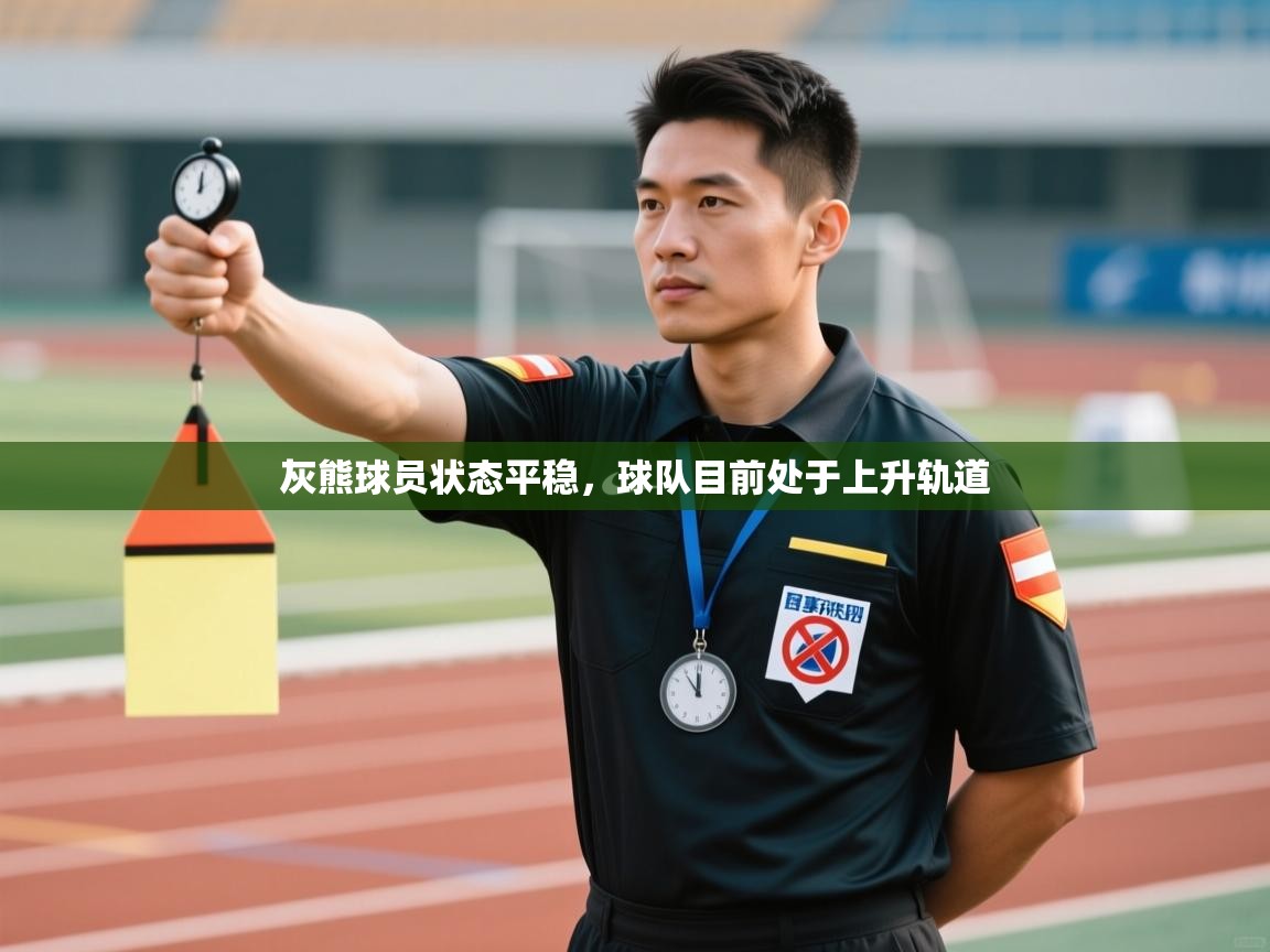 爱游戏直播-灰熊球员状态平稳，球队目前处于上升轨道  第3张