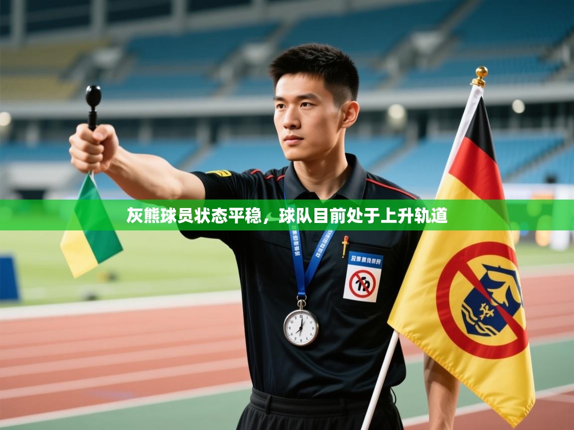 爱游戏直播-灰熊球员状态平稳，球队目前处于上升轨道  第4张